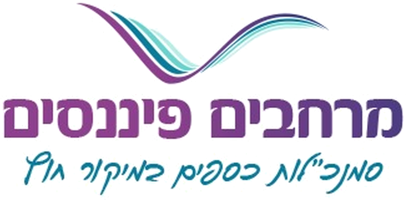 מרחבים פיננסים, סמנכ"לות כספים במיקור חוץ